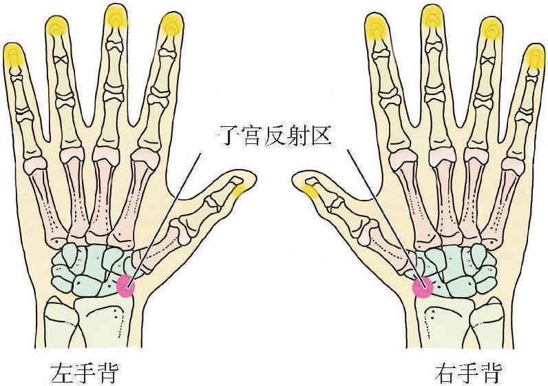 (三)宮頸炎